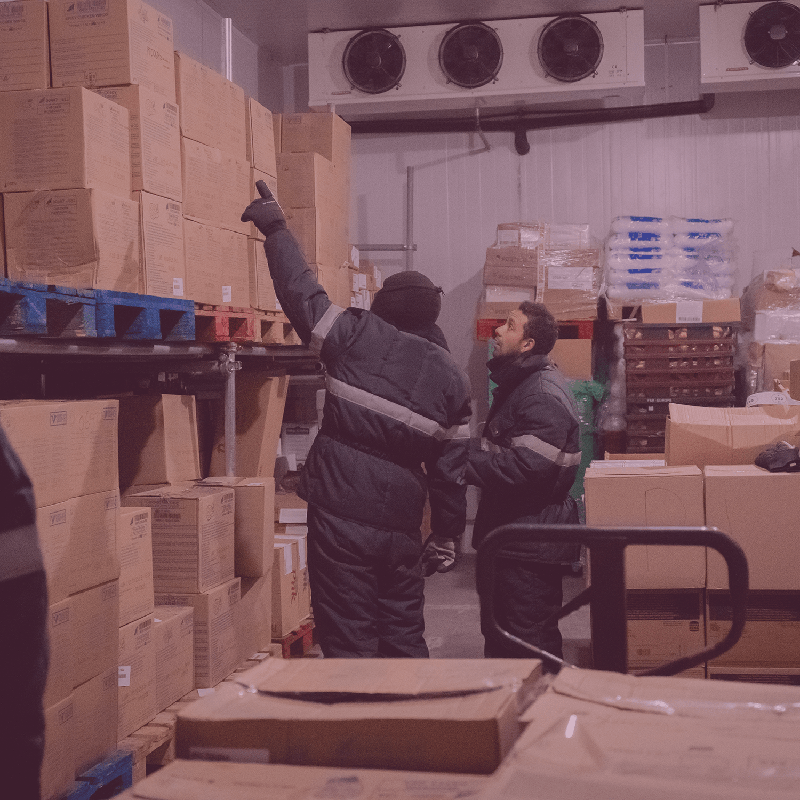 Aluguer de frio e secos